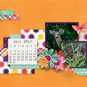 June Desktop