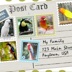 ATC 2017-95 By Air Mail