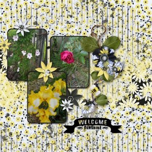 Sunshine Flowers