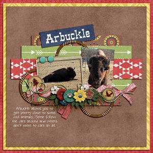 Arbuckle