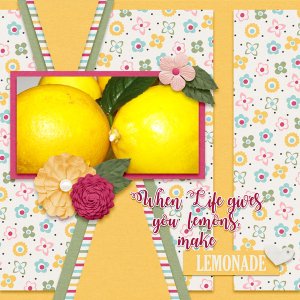 Make Lemonade
