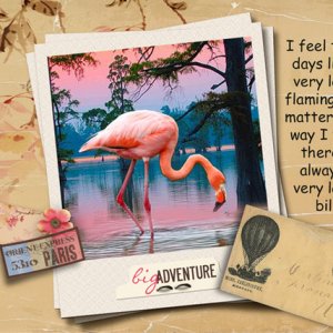 Big Adventure