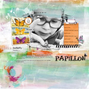 Papillon