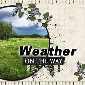 Weather