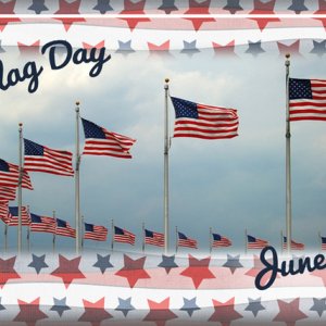 ATC 2017-101 Flag Day