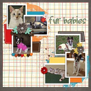 Fur Babies