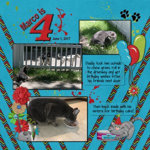 Marco is 4