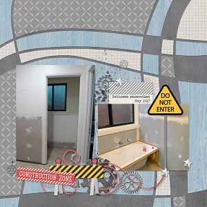 Bathroom Renovation