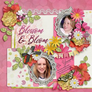 Blossom + Bloom