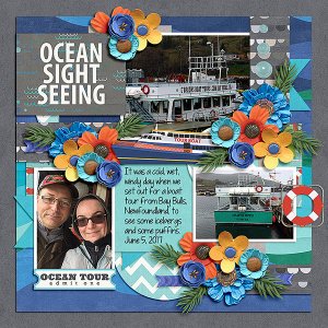 Ocean Sight Seeing