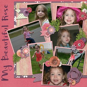My Beautiful Rose