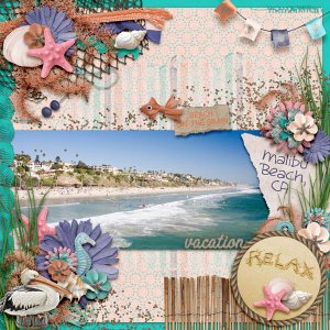 Beach On The Brain