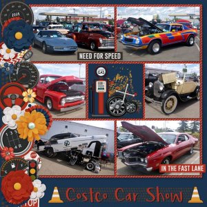 Costco Car Show 2014
