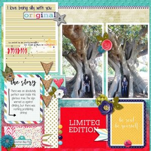 Moreton_Bay_Fig