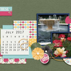 July in the Rose Garden