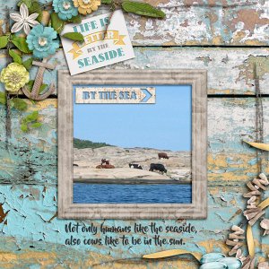By-the-sea1