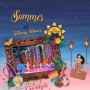 Summer at Disney World