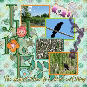 Bird-Watching Month