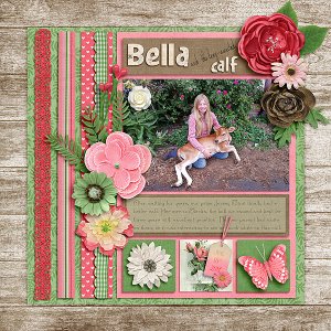 CathyK_SummerBlooms-Aprilisa_PicturePerfect135_Bella6-2017-copy