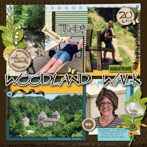 Woodland walk