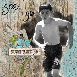 Surf's Up