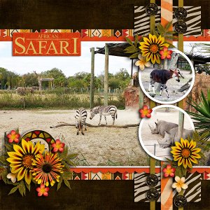 African Safari