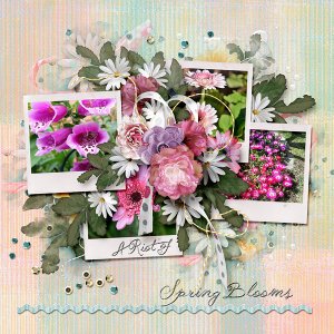 A Riot of Spring blooms