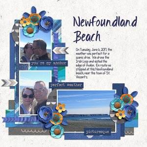 Newfoundland Beach