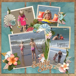 seashore