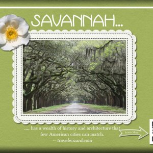 ATC 2017-105 Savannah