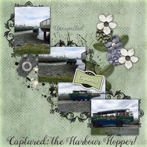 Harbour Hopper Captured