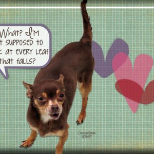 ATC 2017-107 What?