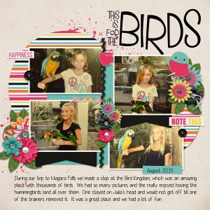 This is for the birds