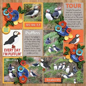 Every Day I'm Pufflin'