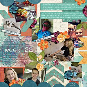 Project 52 - week 22