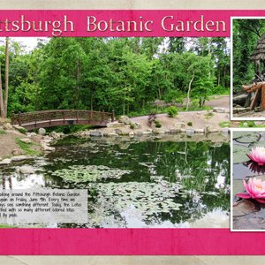 Pittsburgh Botanic Garden2