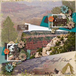 Bright Angel Point