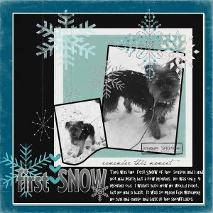 First Snow...