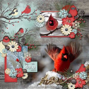 Cardinals