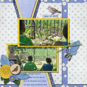Feeding the Bluebirds