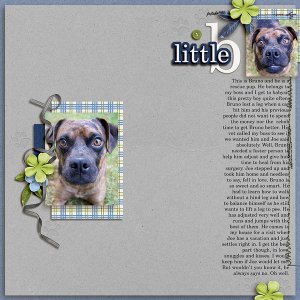 little b