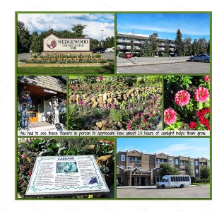 Wedgewood Resort, Fairbanks, AK
