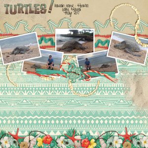 turtles