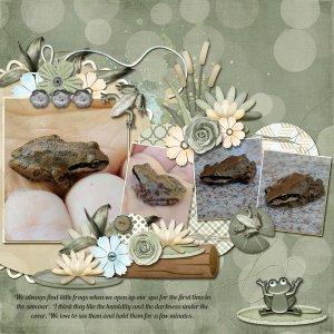 little frog