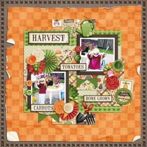 Harvest