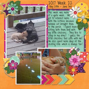2017 Week 22