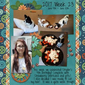 2017 Week 23