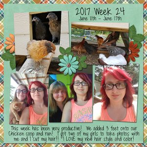 2017 Week 24