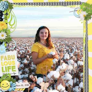 Falubous_life_web