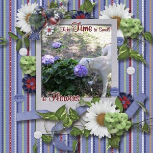 Smell the Flowers